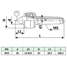 Vidaxl Vrtljiva centrirna konica MT3