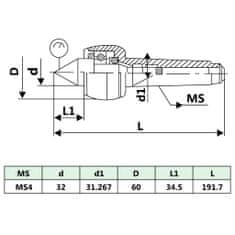 Vidaxl Vrtljiva centrirna konica MT4