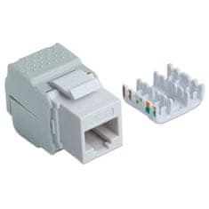 Intellinet Keystone Jack RJ45 UTP modul, Cat6