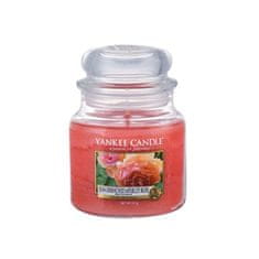 Yankee Candle Aromatična srednje sveča marelična vrtnica s soncem 411 g