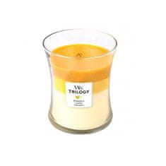 Woodwick Dišeča sveča Trilogija Sadje poletja 275 g