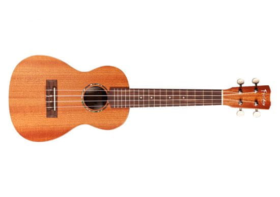 Cordoba U1s Protege Soprano Ukulele