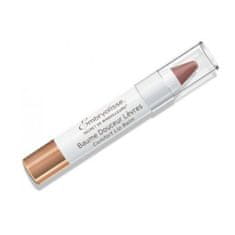 Obarvan balzam za ustnice z vlažilnim učinkom Artist Secret Pink (Comfort Lip Balm) 2,5 g