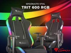 Genesis Trit 600 RGB gaming stol