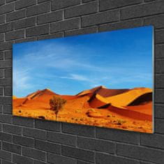 tulup.si Slika na akrilnem steklu Pokrajina desert sand 100x50 cm 2 obešalnika