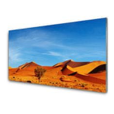 tulup.si Slika na akrilnem steklu Pokrajina desert sand 100x50 cm 2 obešalnika