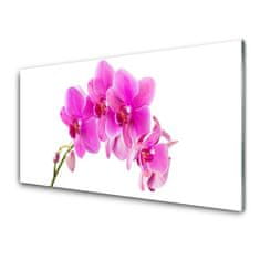 tulup.si Slika na akrilnem steklu Orchid cvet orhideje 100x50 cm 4 obešalnika