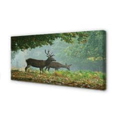 tulup.si Slika na platnu Deer jesenski gozd 120x60 cm