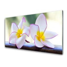 tulup.si Slika na akrilnem steklu Plumeria cvetni listi 100x50 cm 2 obešalnika