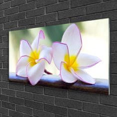 tulup.si Slika na akrilnem steklu Plumeria cvetni listi 100x50 cm 2 obešalnika