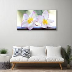 tulup.si Slika na akrilnem steklu Plumeria cvetni listi 100x50 cm 2 obešalnika