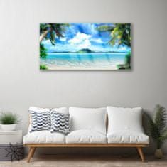 tulup.si Slika na akrilnem steklu Tropical palma sea island 100x50 cm 4 obešalnika