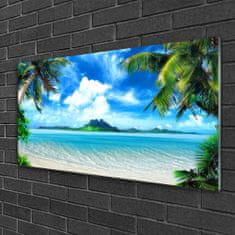 tulup.si Slika na akrilnem steklu Tropical palma sea island 100x50 cm 4 obešalnika