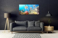 tulup.si Slika na akrilnem steklu Barrier reef landscape 100x50 cm 4 obešalnika