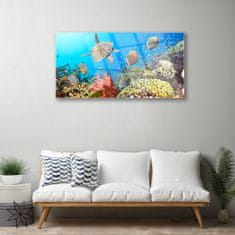 tulup.si Slika na akrilnem steklu Barrier reef landscape 100x50 cm 4 obešalnika