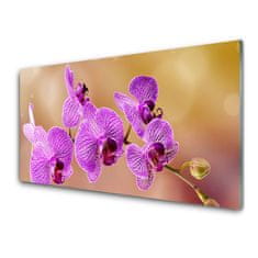 tulup.si Slika na akrilnem steklu Poganjki orchid rože narava 100x50 cm 2 obešalnika