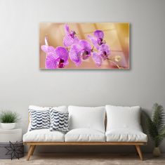 tulup.si Slika na akrilnem steklu Poganjki orchid rože narava 100x50 cm 2 obešalnika