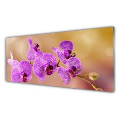 tulup.si Slika na akrilnem steklu Poganjki orchid rože narava 125x50 cm 4 obešalnika