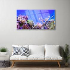 tulup.si Slika na akrilnem steklu Barrier reef narava 100x50 cm 4 obešalnika