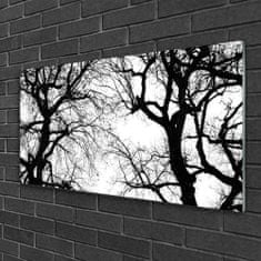 tulup.si Slika na akrilnem steklu Drevesa narava black and white 100x50 cm 4 obešalnika