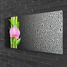 tulup.si Slika na akrilnem steklu Bambus stem flower rastlin 100x50 cm 2 obešalnika