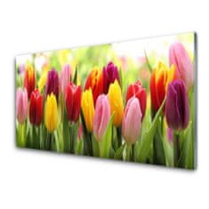 tulup.si Slika na akrilnem steklu Tulipani rože narava 120x60 cm 2 obešalnika