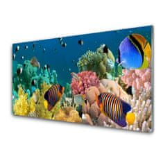 tulup.si Slika na akrilnem steklu Barrier reef narava 140x70 cm 2 obešalnika