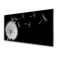 tulup.si Slika na akrilnem steklu Dandelion rože narava 100x50 cm 2 obešalnika