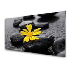 tulup.si Slika na akrilnem steklu Yellow flower nature spa 125x50 cm 2 obešalnika