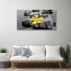 tulup.si Slika na akrilnem steklu Yellow flower nature spa 100x50 cm 4 obešalnika