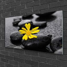 tulup.si Slika na akrilnem steklu Yellow flower nature spa 100x50 cm 4 obešalnika