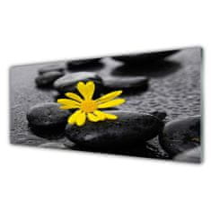 tulup.si Slika na akrilnem steklu Yellow flower nature spa 125x50 cm 2 obešalnika