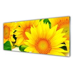 tulup.si Slika na akrilnem steklu Sončnica flower narava 125x50 cm 2 obešalnika