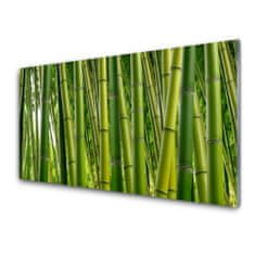 tulup.si Slika na akrilnem steklu Bamboo poganjki bamboo forest 100x50 cm 2 obešalnika