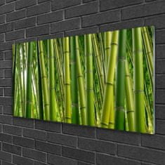 tulup.si Slika na akrilnem steklu Bamboo poganjki bamboo forest 100x50 cm 2 obešalnika