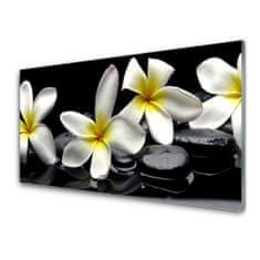 tulup.si Slika na akrilnem steklu Beautiful flower plumeria 100x50 cm 2 obešalnika