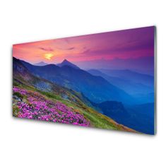 tulup.si Slika na akrilnem steklu Mountain travnik flowers landscape 100x50 cm 2 obešalnika