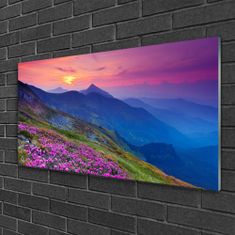 tulup.si Slika na akrilnem steklu Mountain travnik flowers landscape 100x50 cm 2 obešalnika