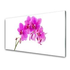 tulup.si Slika na akrilnem steklu Orchid cvet orhideje 125x50 cm 2 obešalnika