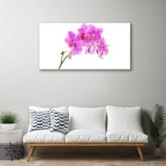 tulup.si Slika na akrilnem steklu Orchid cvet orhideje 100x50 cm 4 obešalnika