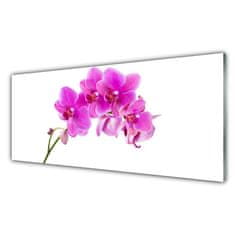 tulup.si Slika na akrilnem steklu Orchid cvet orhideje 125x50 cm 2 obešalnika