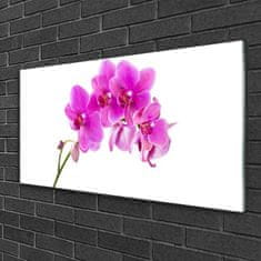 tulup.si Slika na akrilnem steklu Orchid cvet orhideje 100x50 cm 4 obešalnika