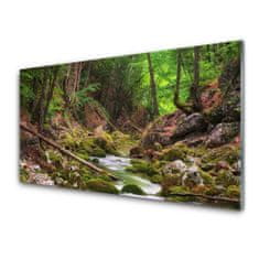 tulup.si Slika na akrilnem steklu Forest moss narava 100x50 cm 2 obešalnika