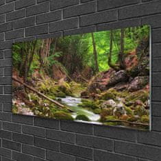 tulup.si Slika na akrilnem steklu Forest moss narava 100x50 cm 2 obešalnika