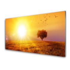 tulup.si Slika na akrilnem steklu Sunset meadow ptice 140x70 cm 2 obešalnika