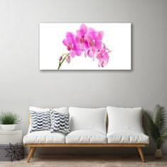 tulup.si Slika na akrilnem steklu Orchid cvet orhideje 100x50 cm 4 obešalnika