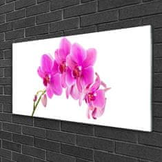 tulup.si Slika na akrilnem steklu Orchid cvet orhideje 100x50 cm 4 obešalnika