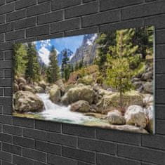 tulup.si Slika na akrilnem steklu Stones river mountain forest 100x50 cm 2 obešalnika