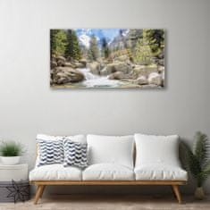 tulup.si Slika na akrilnem steklu Stones river mountain forest 100x50 cm 2 obešalnika