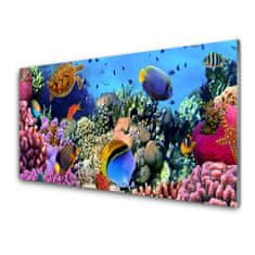 tulup.si Slika na akrilnem steklu Barrier reef narava 120x60 cm 2 obešalnika